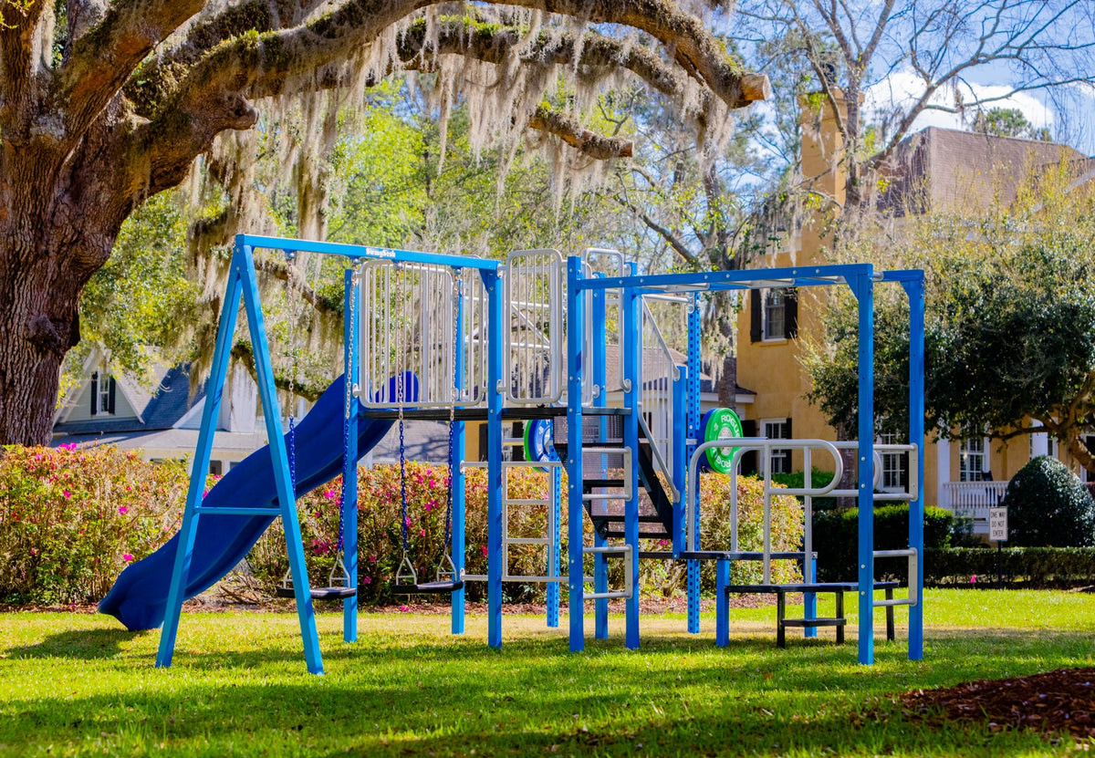 A blue metal playground (SwingSesh) structure with a slide, climbing ladder, and swings, situated on a green lawn in front of a large tree with hanging Spanish moss.